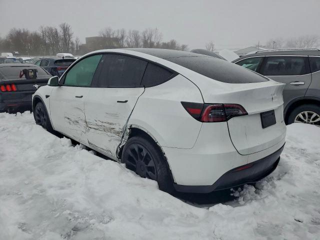 Tesla Model Y Image 2