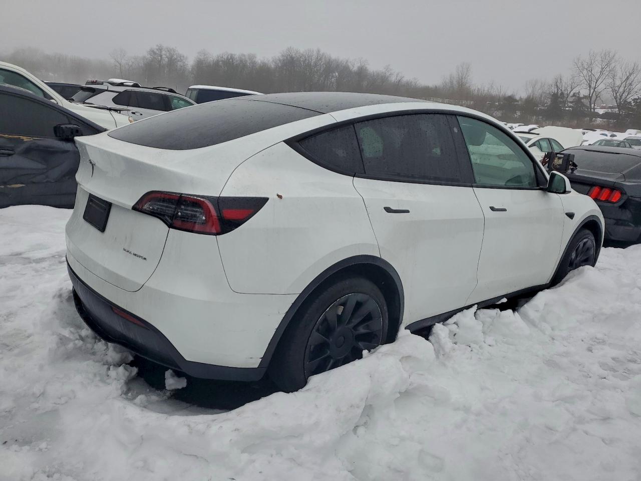 Tesla Model Y Image 7