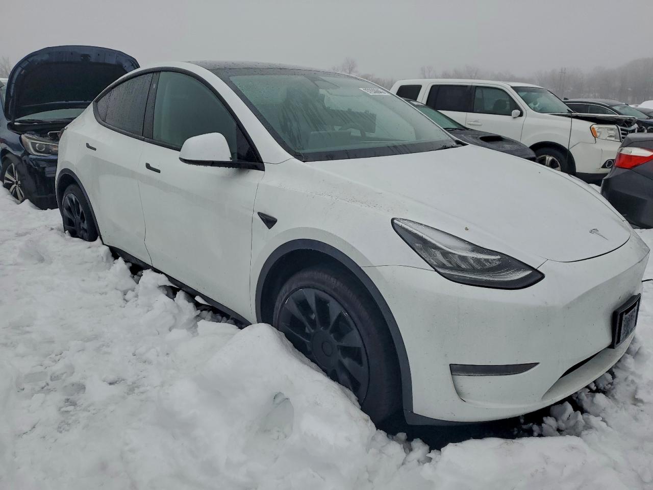 Tesla Model Y Image 3