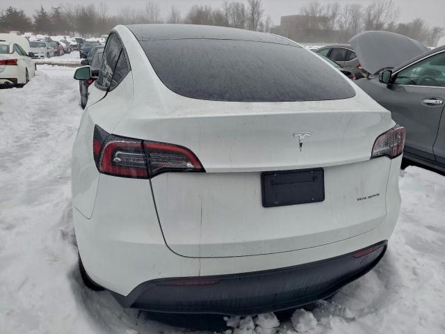 Tesla Model Y Image 8
