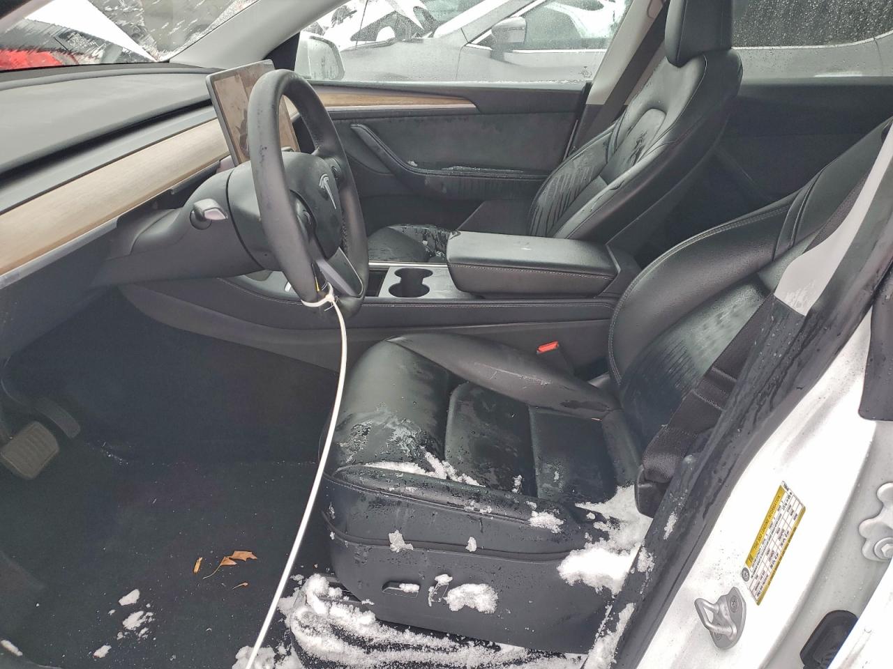 Tesla Model Y Image 5