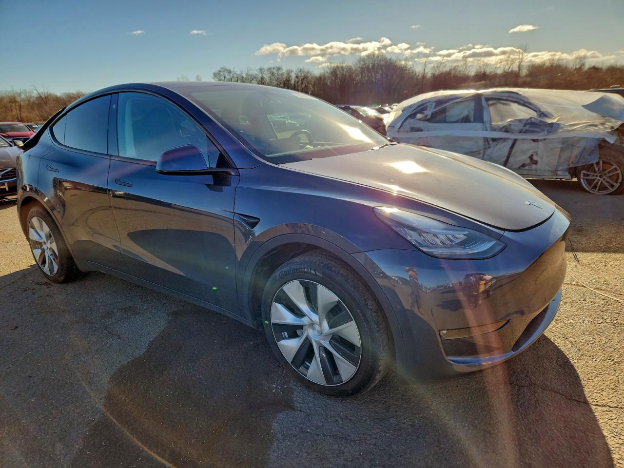 Tesla Model Y Image 4