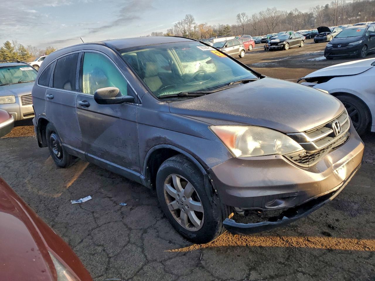 Honda Crv Se Image 5
